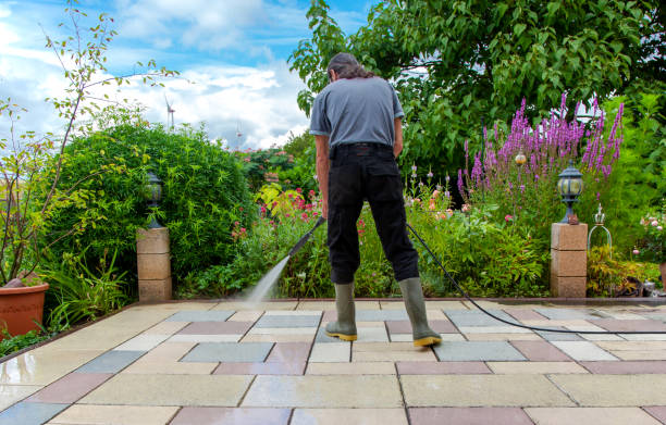 Best Animal Enclosure Cleaning  in USA